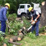 Vacunación de adultos mayores