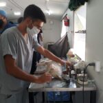 La Municipalidad pedirá mayor cantidad de ómnibus locales