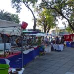 Luego de 13 meses Federer volvió a las canchas con un triunfo