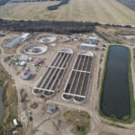 Leve incremento de casos de coronavirus