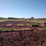 River logró cambiar a tiempo y logró vencer a Junior por 2 a 1