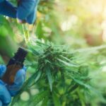 Córdoba recibió otra partida de 62.100 dosis de Sinopharm