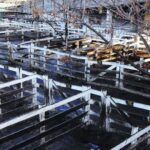 Masiva protesta policial en París exigiendo penas más duras