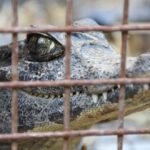 UEPC pide inmunizar a los más de 50 mil docentes que aún no fueron vacunados