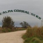 Schwartzman va por los cuartos de final en Roland Garros