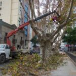 Tratamientos prehospitalarios