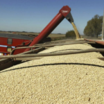 El Vaticano se endurece con los sacerdotes abusadores