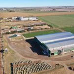 Tu Escuela en Casa suma nuevos contenidos