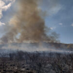 Desde el inicio de la pandemia, Córdoba acumula casi 434.000 casos de Covid