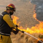 Ya es oficial el nuevo sistema de libre elección de obra social