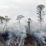 Las ventas en supermercados cayeron 2% en el primer semestre