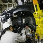 La habilitación de veterinarias será 100 % online