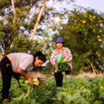 Informe epidemiológico diario