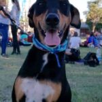 El Concejo Deliberante aprobó el Cupo Laboral Trans para la Municipalidad de Río Cuarto