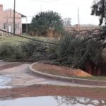 Inversión en infraestructura beneficia a los trenes de carga en Córdoba