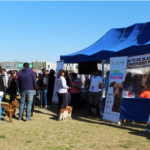 Podoroska ausente en el Argentina Open
