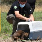 El viento agravó el incendio en La Paz y hubo evacuaciones preventivas