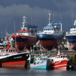 Feria Industrial 2021