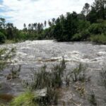 Lanzamiento de la campaña ESI