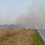 Independiente perdió a su goleador: Silvio Romero se va al Fortaleza de Brasil