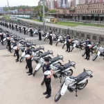 Rescatan una lampalagua y un oso melero