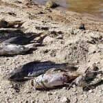 Córdoba registró 9.830 contagios de coronavirus en las últimas 24 horas