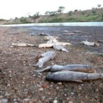 El Turismo Nacional presentó el calendario de la temporada 2022