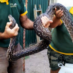 Nueva edición del Sábado Joven