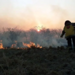 Emergencia y desastre agropecuario rigen en 14 departamentos de Córdoba