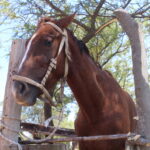 Control dermatológico gratuito