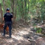 Llamosas inauguró las sesiones del Concejo