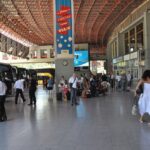 Tenencia Responsable de Equinos