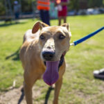 Rhorer se puso a disposición de la Justicia