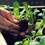 Córdoba Federal presentó el proyecto de baja de retenciones