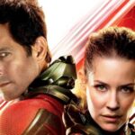 El Comité de Disciplina de la FIFA dispuso sanciones económicas para Argentina y Senegal