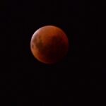 Comienza la votación del Presupuesto Participativo 2022