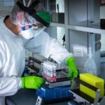 Datos provisorios del Censo