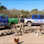 Nueva etapa del programa Precios Cuidados