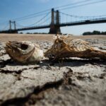 Continúan cerrados al tránsito los principales pasos fronterizos a Chile