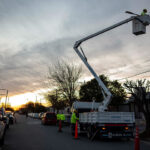 Las Panteras se consagraron campeonas del clasificatorio para los Panamericanos