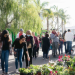 Llamosas habilitó el adoquinado frente al S24 de Alberdi
