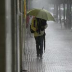 Entregaron más zootropos