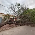 Precarización y bajos sueldos: médicos del Hospital alertan por renuncias masivas