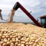 México: mutitudinaria marcha en el DF en apoyo a López Obrador