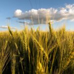 Un ataque explosivo en Turquía dejó seis muertos y 81 heridos