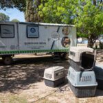 Sorteo de Copa Libertadores: se conocen los rivales de los argentinos