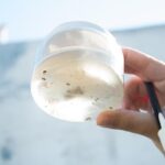 Francia se encamina hacia la posible legalización de la eutanasia