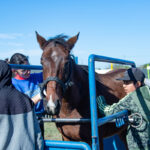 El PSG aclaró que Christophe Galtier «se expresó mal» tras confirmar la salida de Lionel Messi