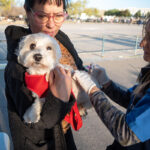 Celebración en el Día de la Independencia