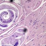 Bomberos de Río Cuarto debe elegir entre impuestos o combustible